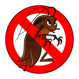 cucaracha Smasher icono
