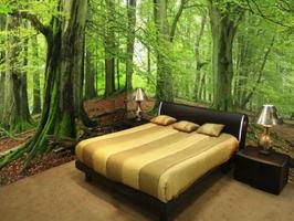 3D Murals Wallpaper Screenshot 1