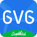GVG