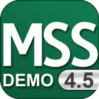 Icona Demo MSS - Mobile Sales System