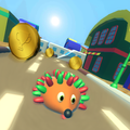Hedgehog pet run