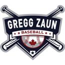 Gregg Zaun Baseball APK