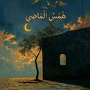 رواية همس الماضي APK