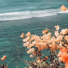 رواية نور الحياة icono