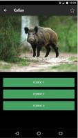Электронный манок PRO ภาพหน้าจอ 1
