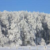 Winter Wallpapers Ekran Görüntüsü 2