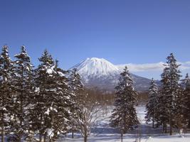 Japan Photo Frames ภาพหน้าจอ 3