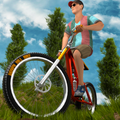 Down Hill Bike : Mountain