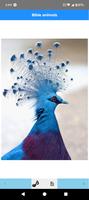 Bible animals poster