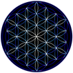 Leonardo - Graphics