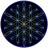Leonardo - Graphics आइकन