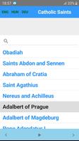 Catholic Saints تصوير الشاشة 1