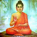 Buddhacha Sandesh APK