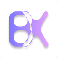 BudgetX