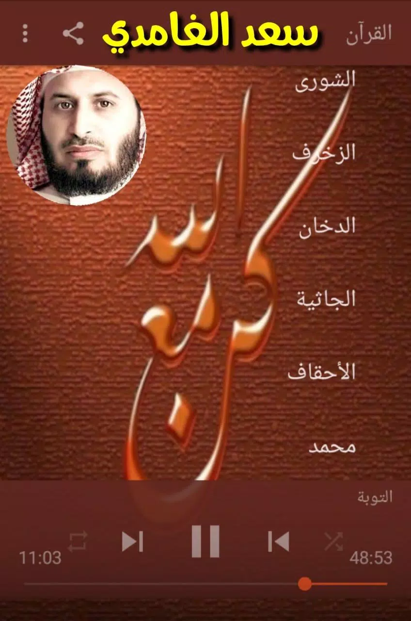 saad al ghamdi full quran offline APK for Android Download