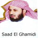 Saad Al Ghamdi Arapça pdf APK