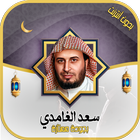 سعد الغامدي قرآن كامل - دون نت icon