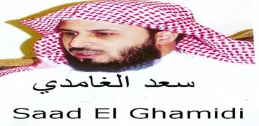 Saad Al Ghamidi - MP3 Quran