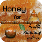 Honey Diet icône