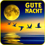 Good evening good night images for Whatsapp GIF icon