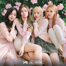 Blackpink wallpapers HD 2021 APK