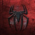 Spider Wallpaper icône