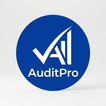 AuditPro icon