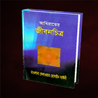 আখিরাতের জীবনচিত্র Maulana Delwar Hossain Sayedee ícone