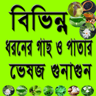 ঔষধি গাছ ও পাতার ভেষজ গুনাগুন icon