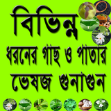ঔষধি গাছ ও পাতার ভেষজ গুনাগুন icon
