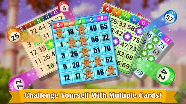 Bingo Bingo