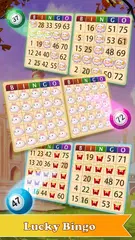 download Bingo Run - Free Bingo Games APK
