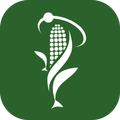 SADER Produce