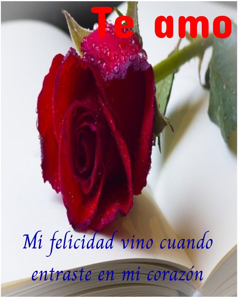 Flores de amor y amistad, envio de rosas gratis APK للاندرويد تنزيل