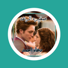 رواية صغيرة الرعد biểu tượng
