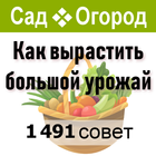 Огород и дачный участок,советы icon
