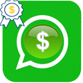 DP Status Pro