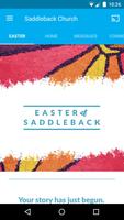 Poster Saddleback