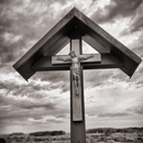 YLT Bible APK