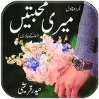 Meri Muhabbatain أيقونة