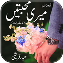 Meri Muhabbatain by Haider Qureshi - Urdu Novel APK