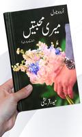 Meri Muhabbatain الملصق