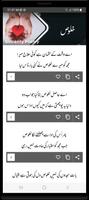 Urdu Poetry Offline imagem de tela 3