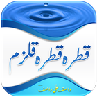 Qatra Qatra Qulzam أيقونة