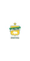 FNDE постер