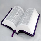 Luhya bible আইকন
