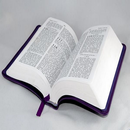 Luhya bible APK