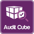 ”Audit Cube