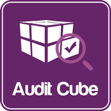 Icona Audit Cube
