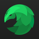 SafeShell VPN - Stream Freedom APK